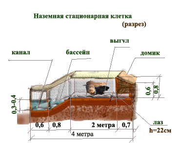 клетка для нутрий наземная стационарная